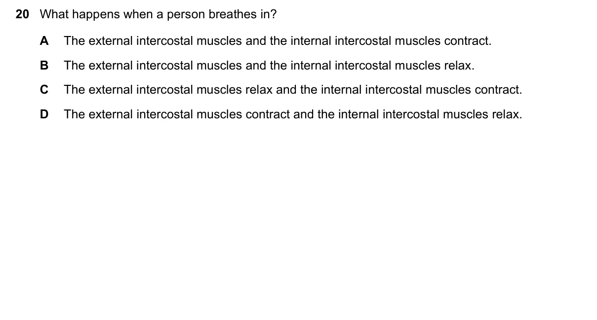Question 20, June 2023, 0610 Paper 23