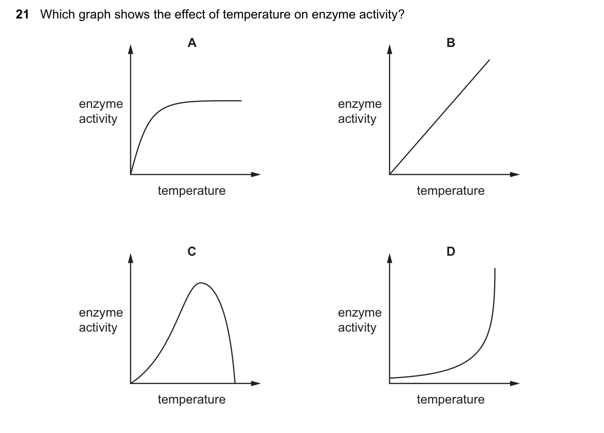 Question 21, June 2023, 0610 Paper 23