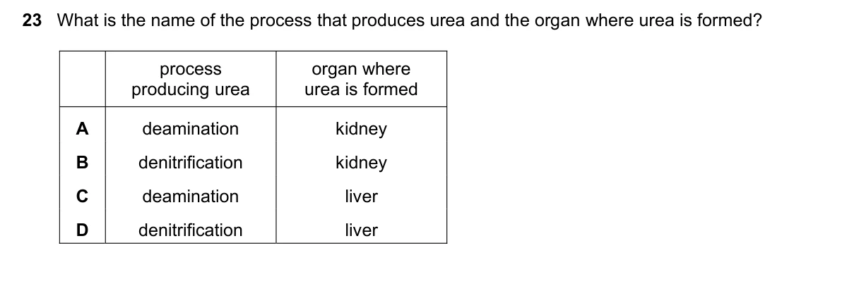 Question 23, June 2023, 0610 Paper 23