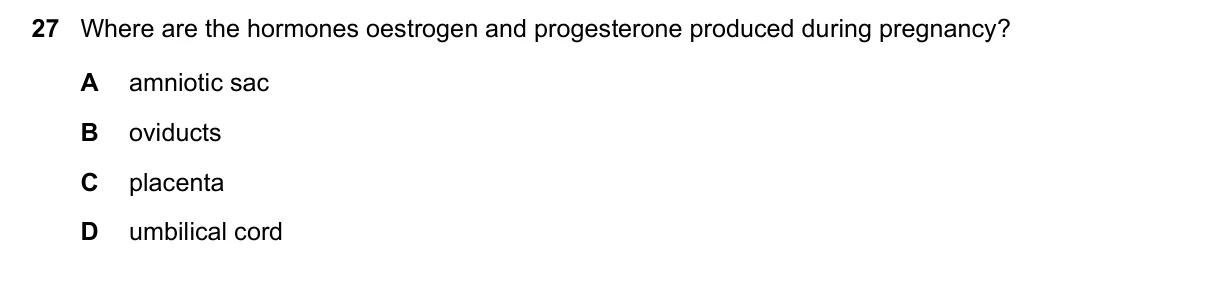 Question 27, June 2023, 0610 Paper 23