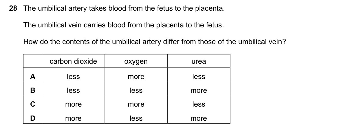 Question 28, June 2023, 0610 Paper 23