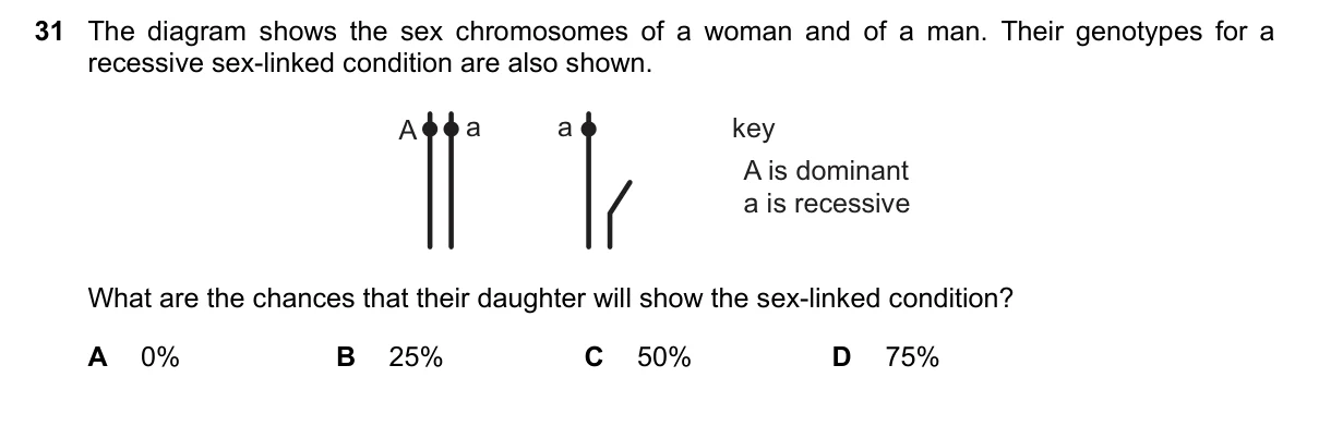 Question 31, June 2023, 0610 Paper 23