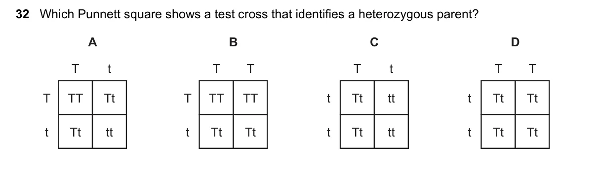 Question 32, June 2023, 0610 Paper 23