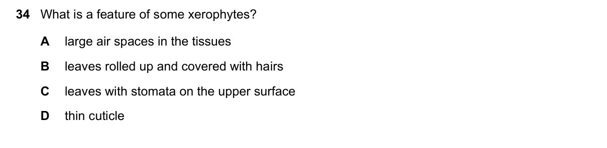 Question 34, June 2023, 0610 Paper 23