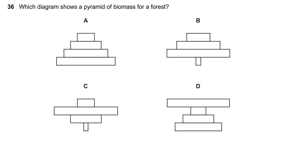 Question 36, June 2023, 0610 Paper 23
