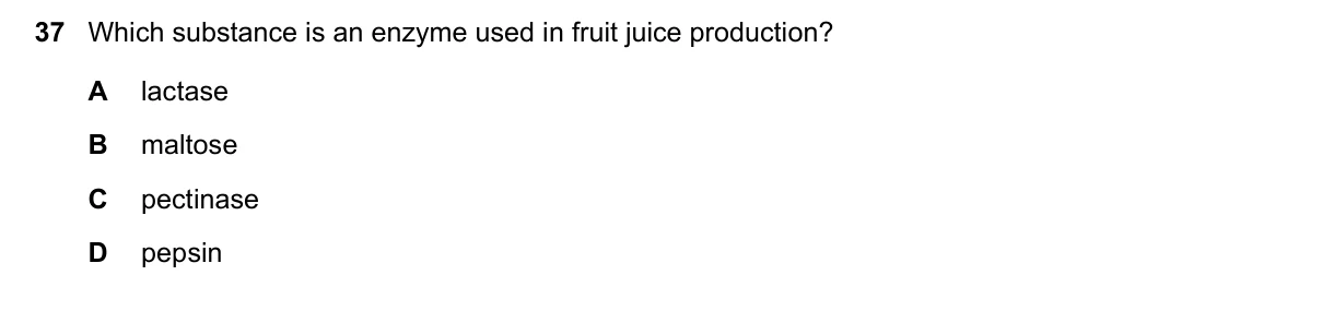 Question 37, June 2023, 0610 Paper 23
