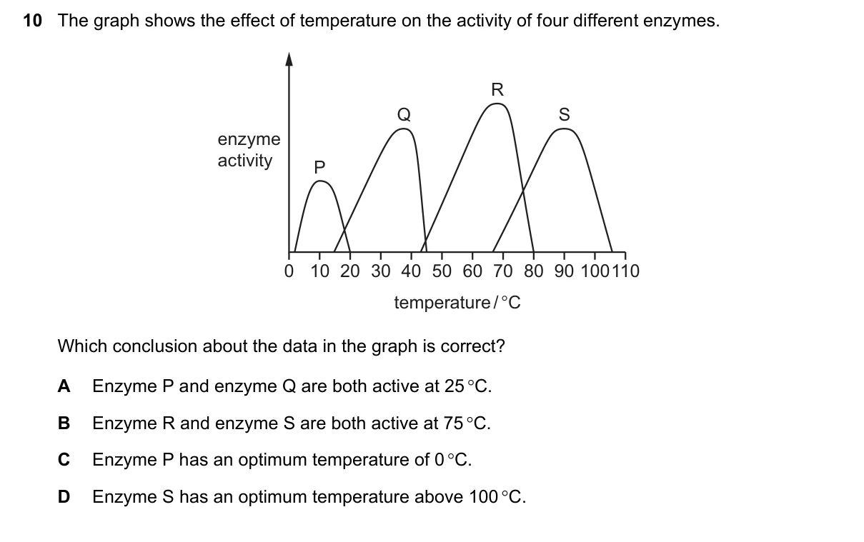 Question 10, November 2023, 0610 Paper 11