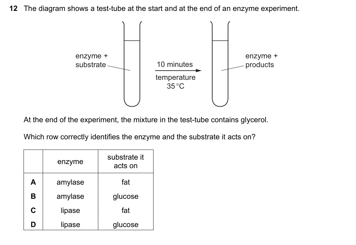 Question 12, November 2023, 0610 Paper 11