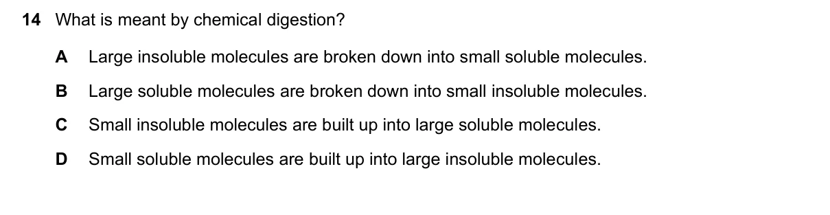 Question 14, November 2023, 0610 Paper 11