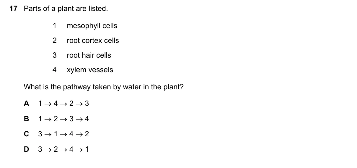 Question 17, November 2023, 0610 Paper 11