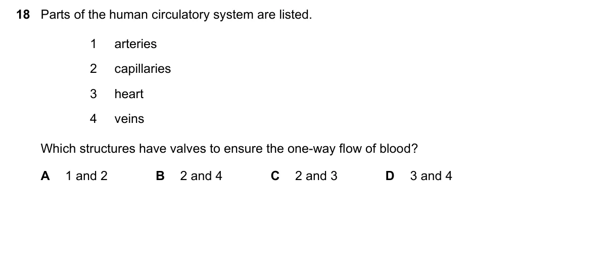 Question 18, November 2023, 0610 Paper 11