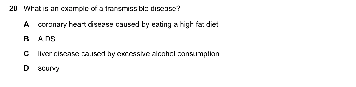 Question 20, November 2023, 0610 Paper 11