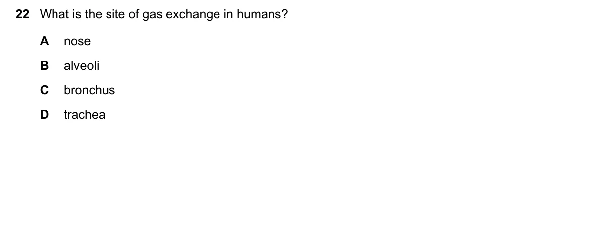 Question 22, November 2023, 0610 Paper 11