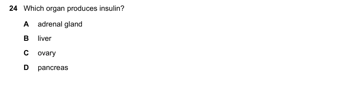 Question 24, November 2023, 0610 Paper 11