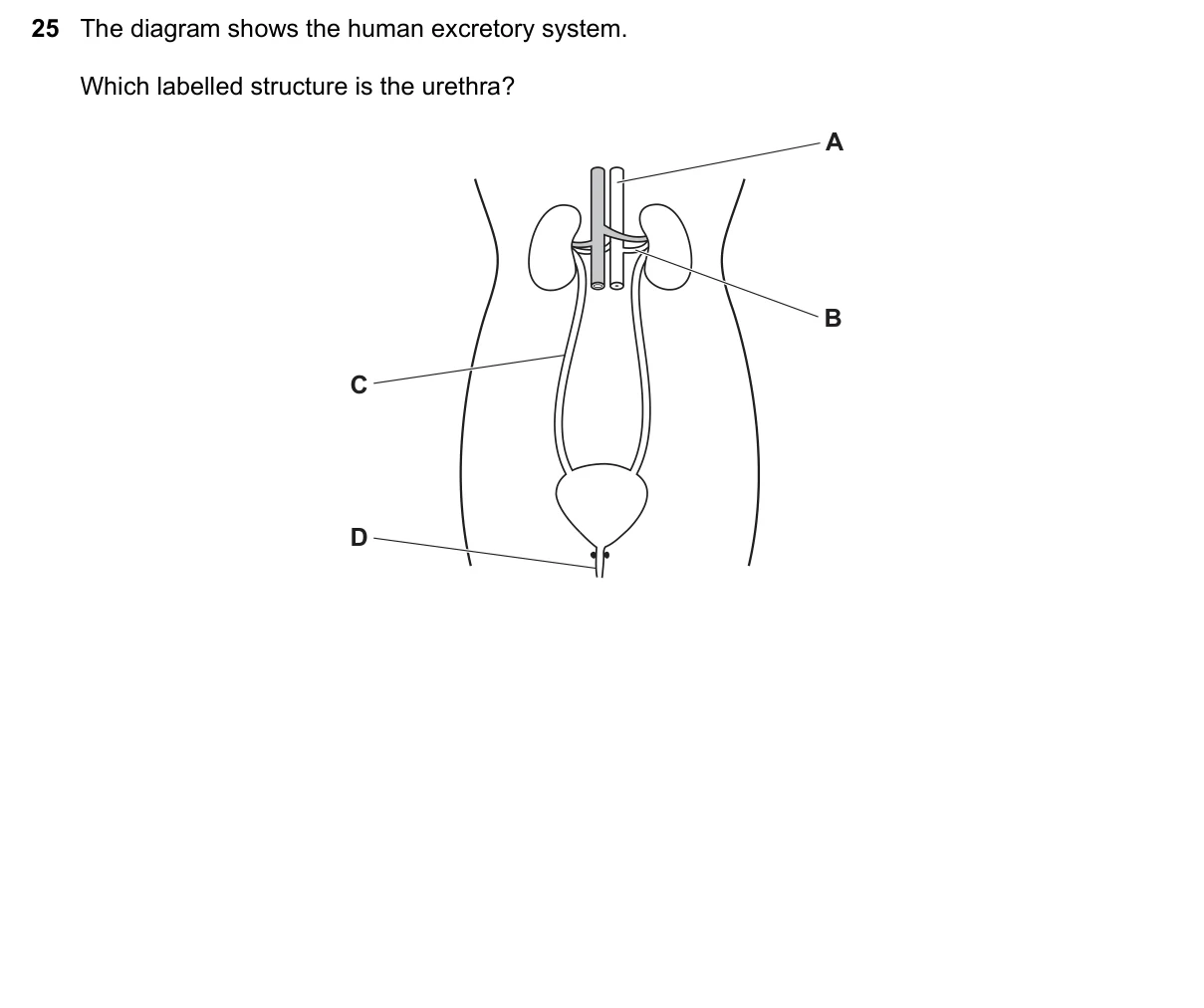 Question 25, November 2023, 0610 Paper 11