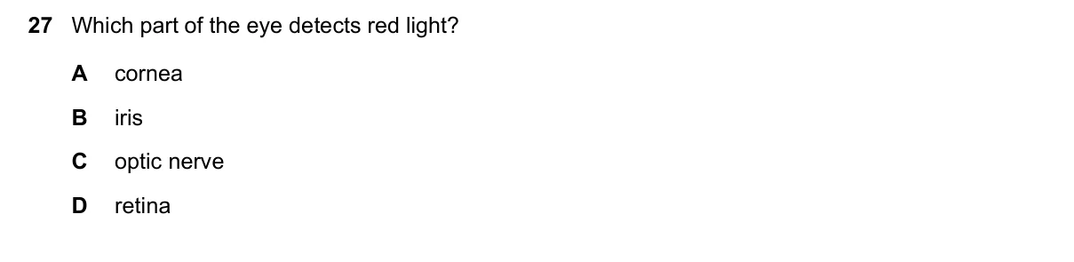 Question 27, November 2023, 0610 Paper 11