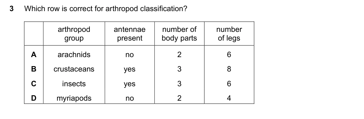 Question 3, November 2023, 0610 Paper 11