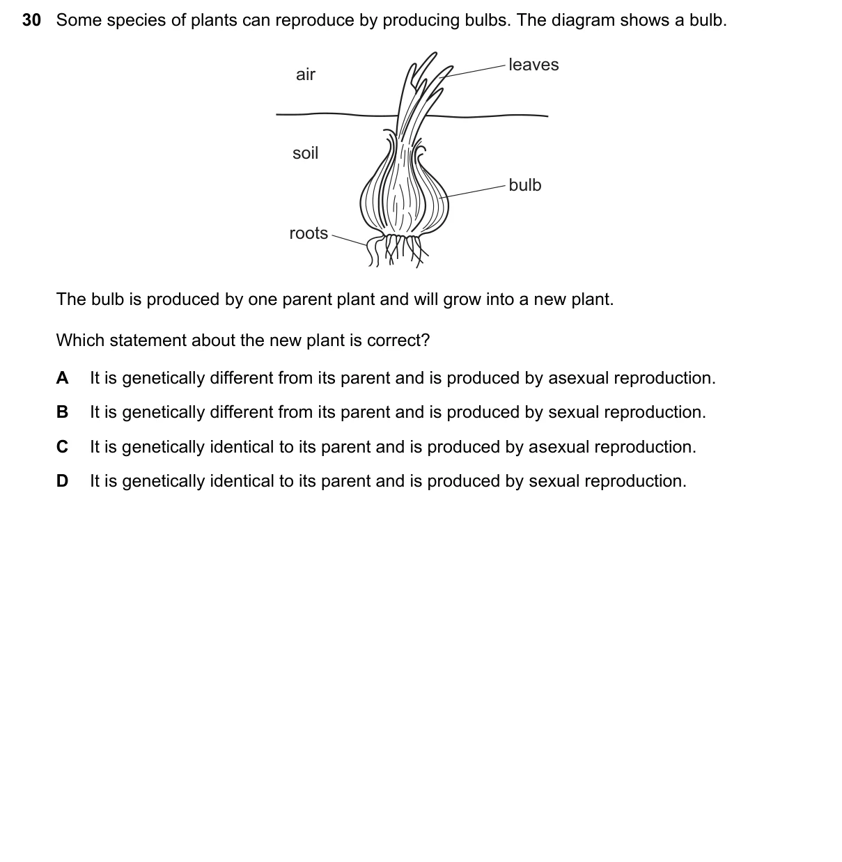 Question 30, November 2023, 0610 Paper 11