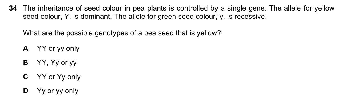 Question 34, November 2023, 0610 Paper 11