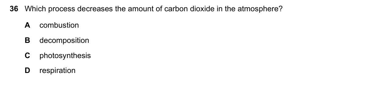 Question 36, November 2023, 0610 Paper 11