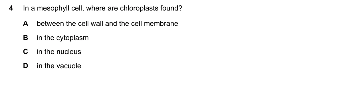Question 4, November 2023, 0610 Paper 11