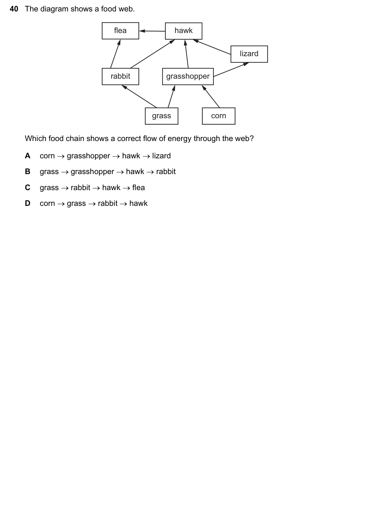 Question 40, November 2023, 0610 Paper 11