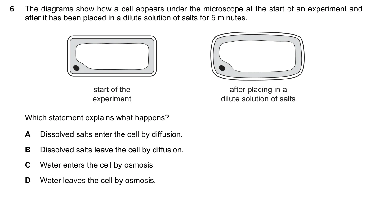 Question 6, November 2023, 0610 Paper 11