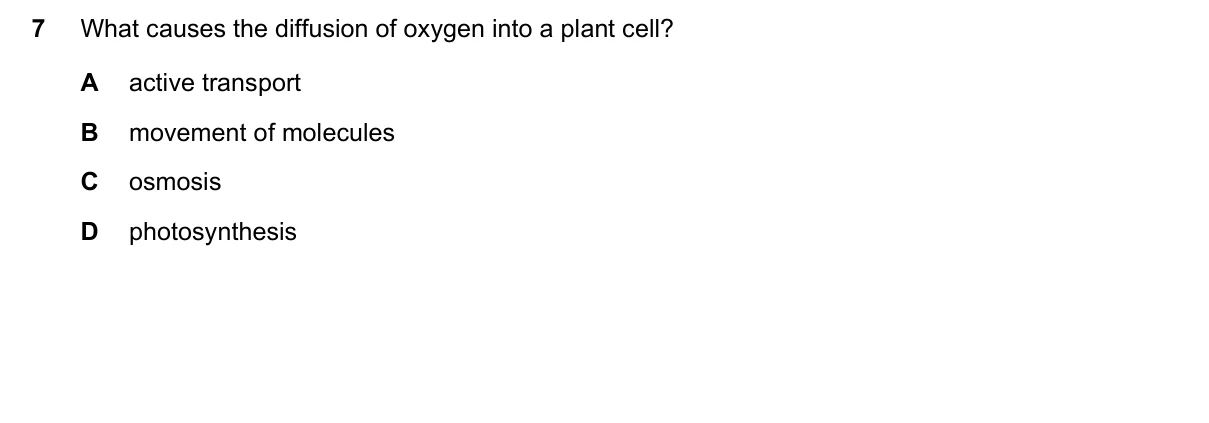 Question 7, November 2023, 0610 Paper 11