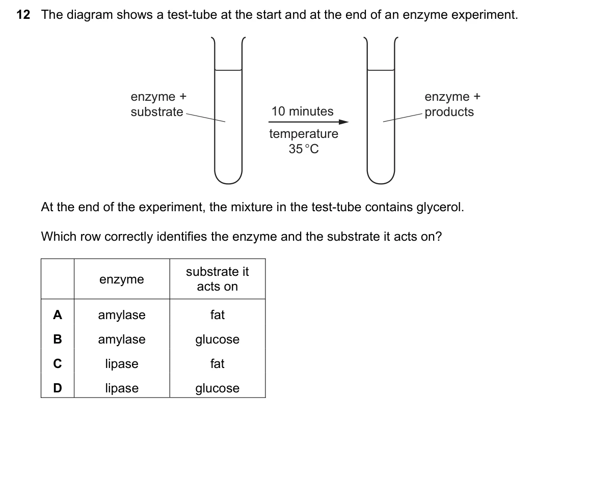 Question 12, November 2023, 0610 Paper 21