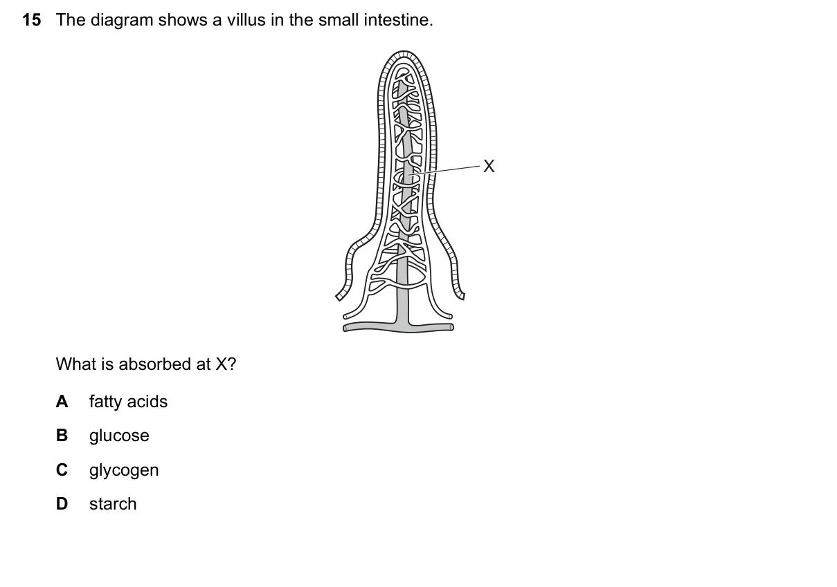 Question 15, November 2023, 0610 Paper 21