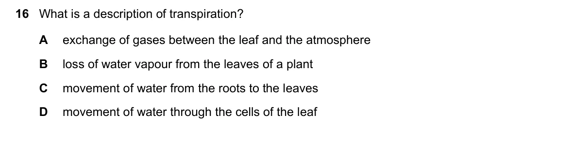 Question 16, November 2023, 0610 Paper 21