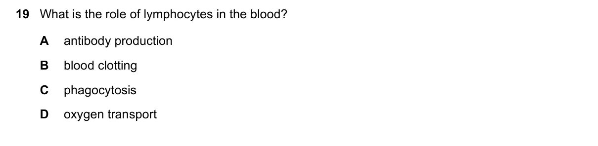 Question 19, November 2023, 0610 Paper 21