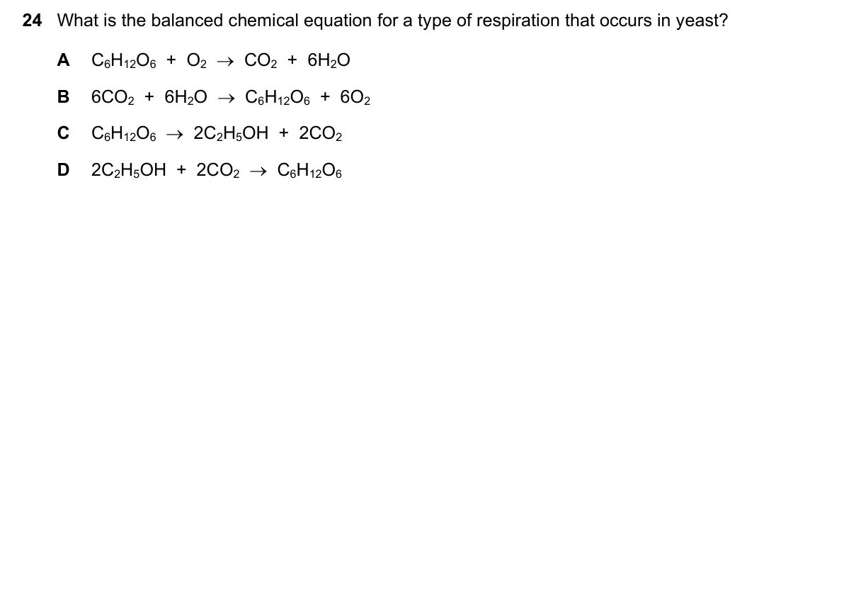 Question 24, November 2023, 0610 Paper 21