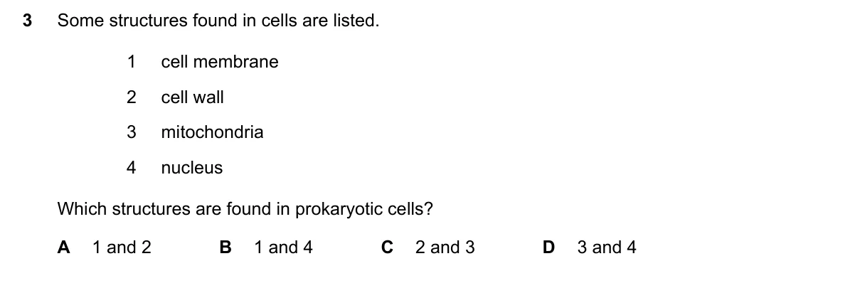 Question 3, November 2023, 0610 Paper 21