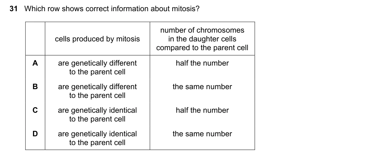 Question 31, November 2023, 0610 Paper 21