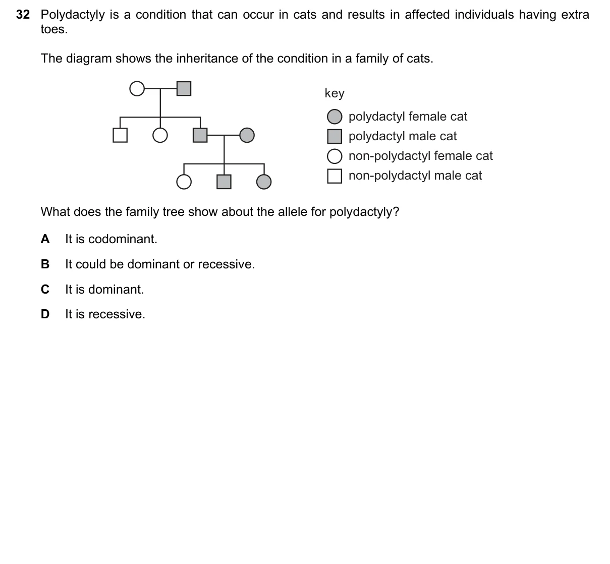 Question 32, November 2023, 0610 Paper 21