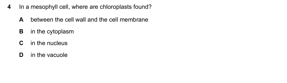 Question 4, November 2023, 0610 Paper 21