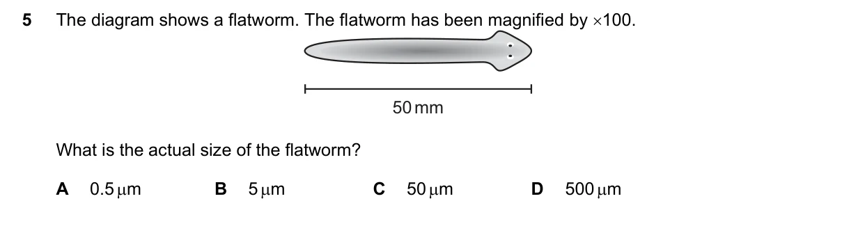 Question 5, November 2023, 0610 Paper 21