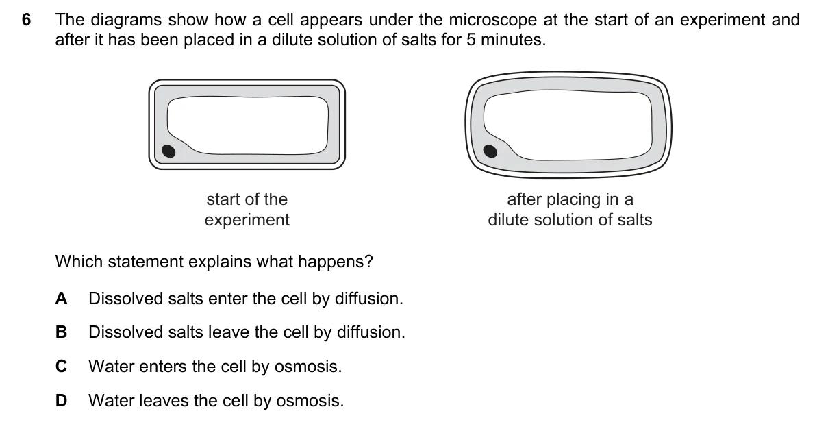 Question 6, November 2023, 0610 Paper 21