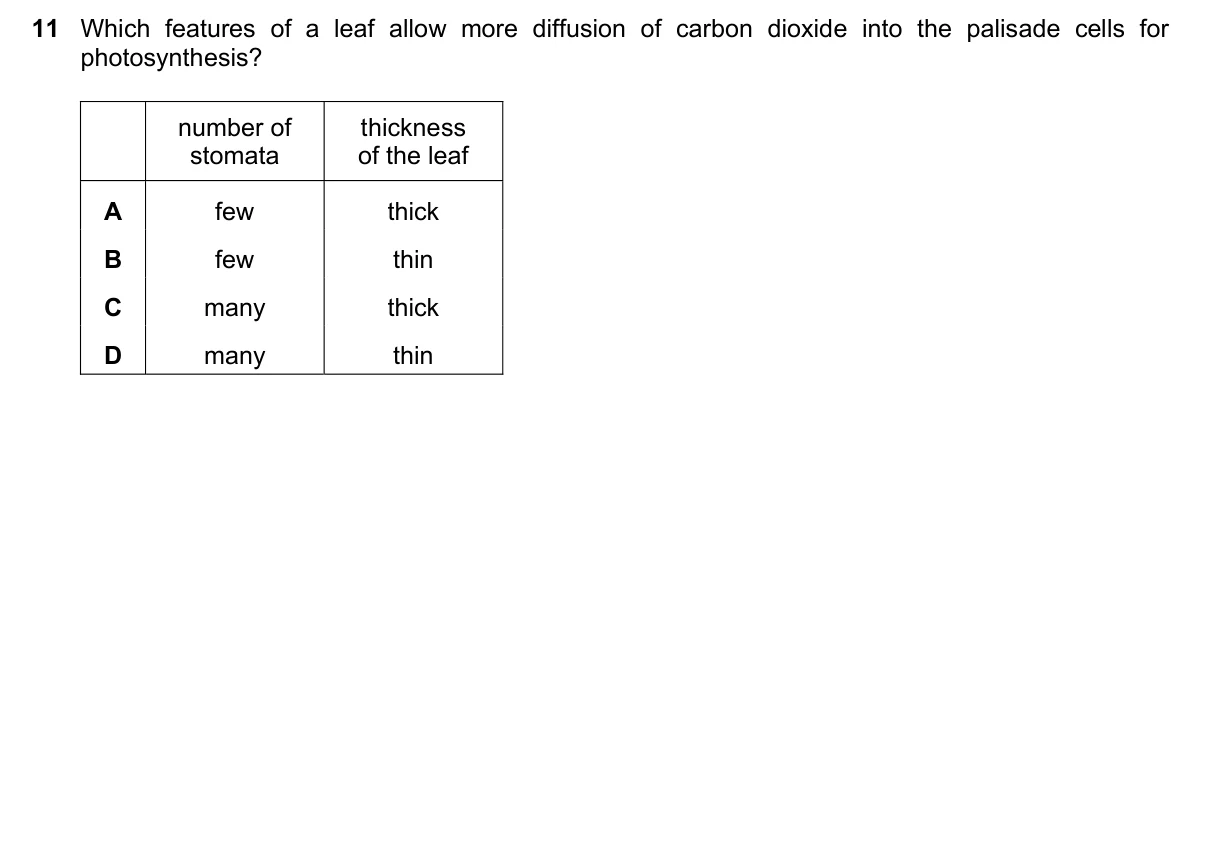 Question 11, November 2023, 0610 Paper 12
