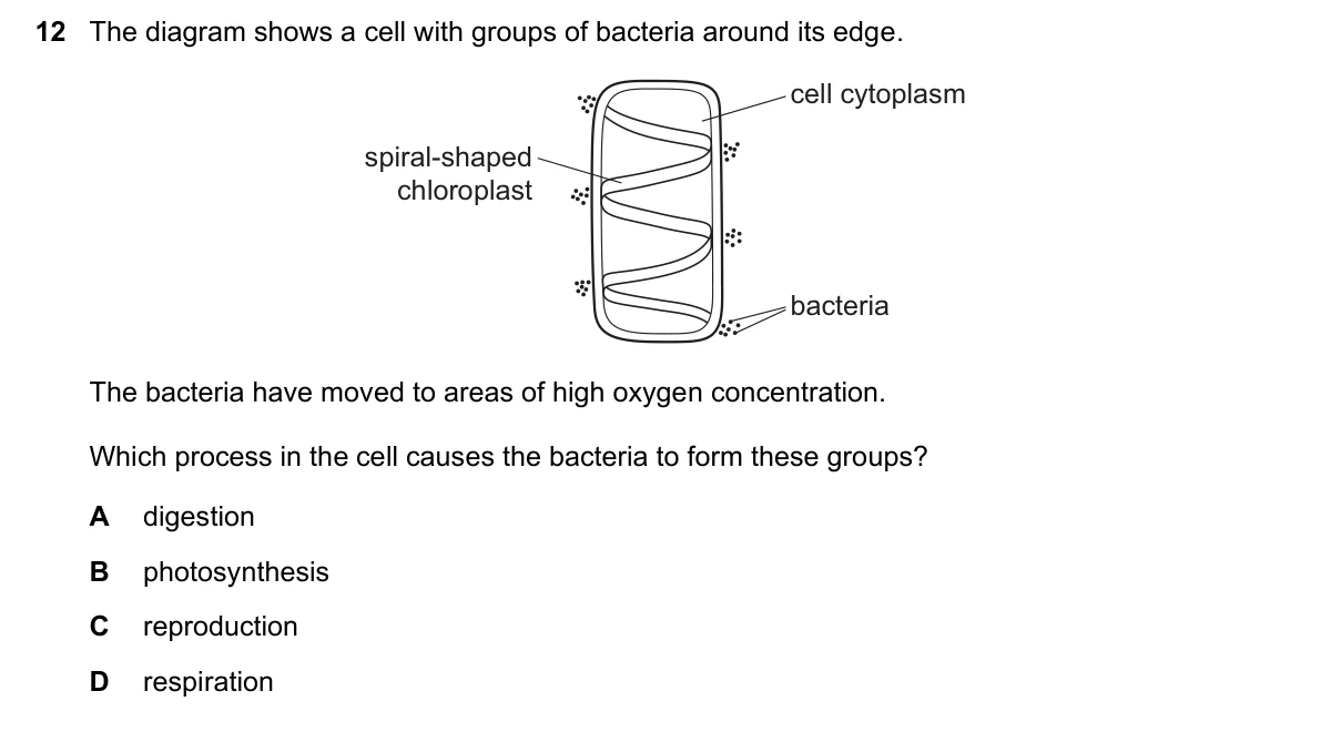 Question 12, November 2023, 0610 Paper 12