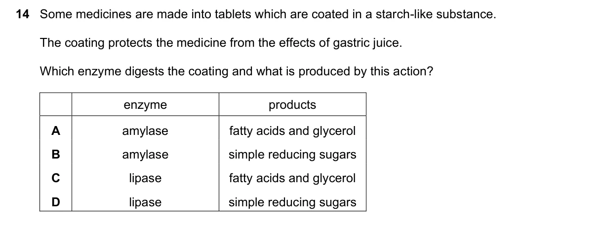 Question 14, November 2023, 0610 Paper 12