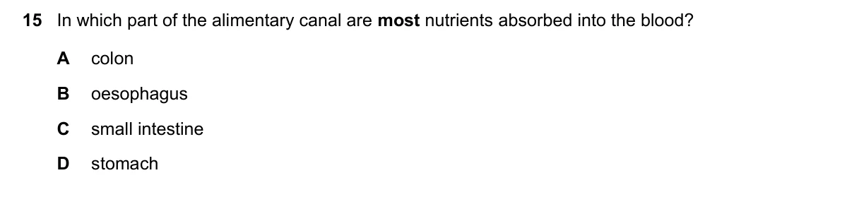 Question 15, November 2023, 0610 Paper 12