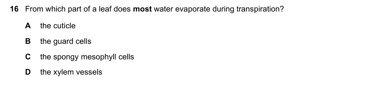 Question 16, November 2023, 0610 Paper 12