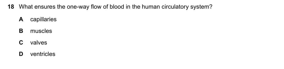Question 18, November 2023, 0610 Paper 12