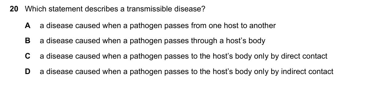 Question 20, November 2023, 0610 Paper 12