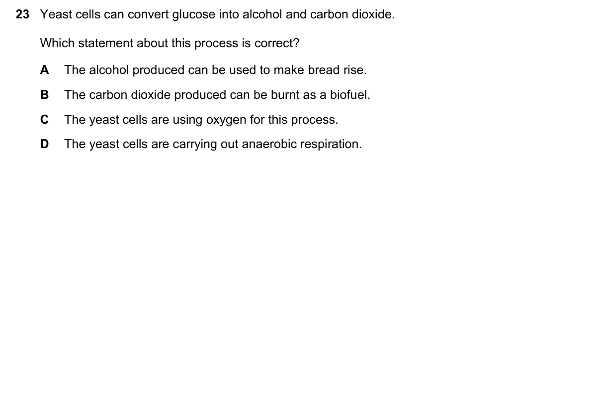 Question 23, November 2023, 0610 Paper 12