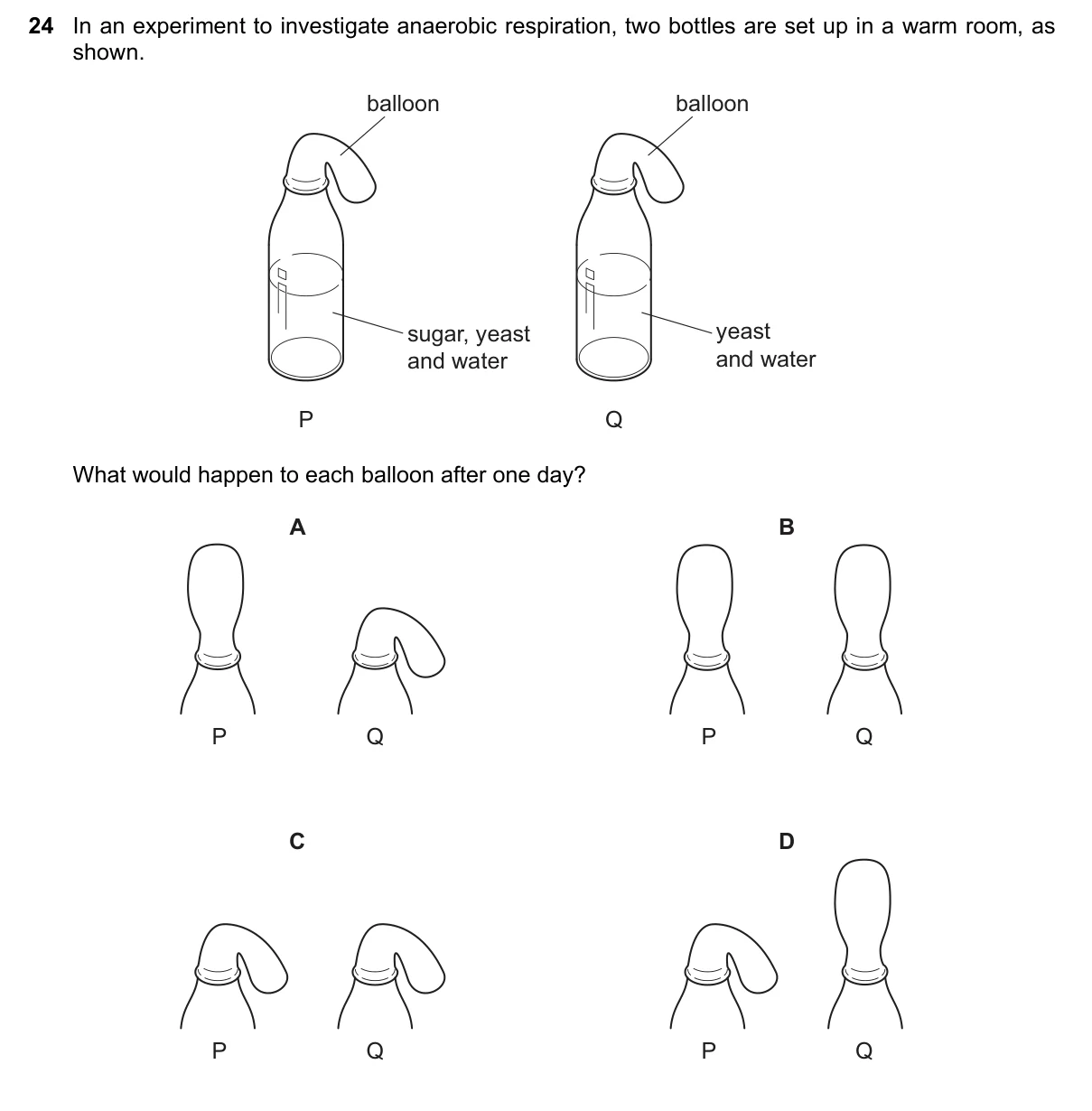 Question 24, November 2023, 0610 Paper 12