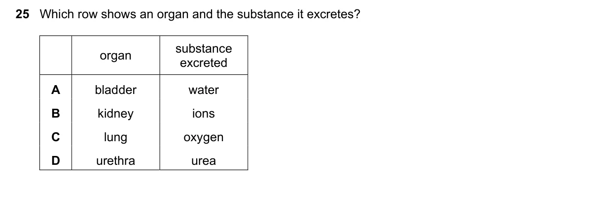 Question 25, November 2023, 0610 Paper 12