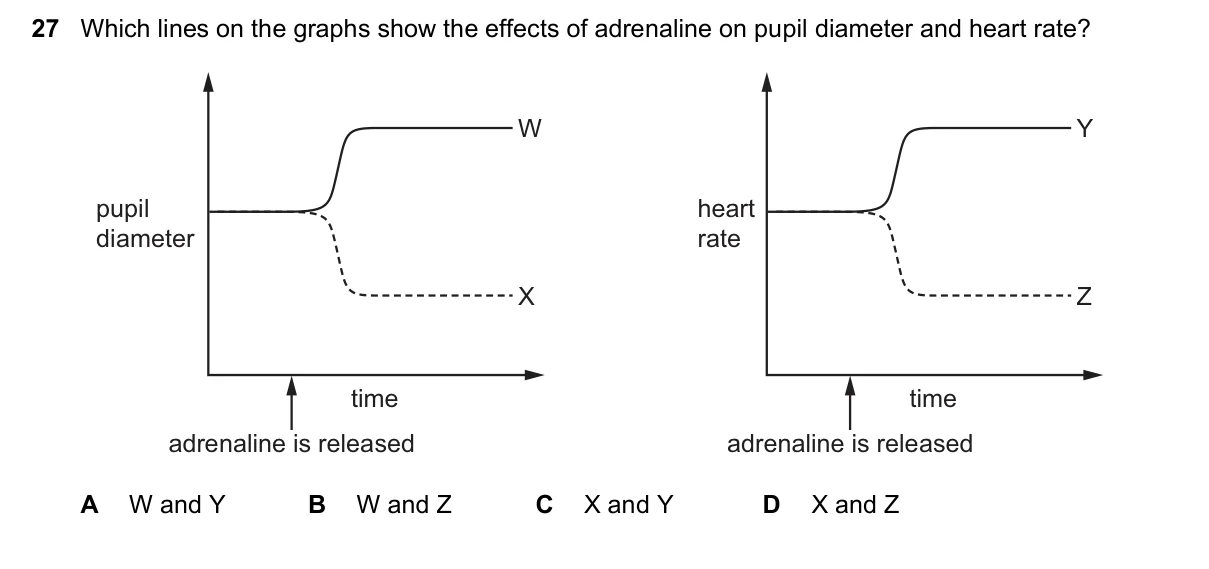 Question 27, November 2023, 0610 Paper 12